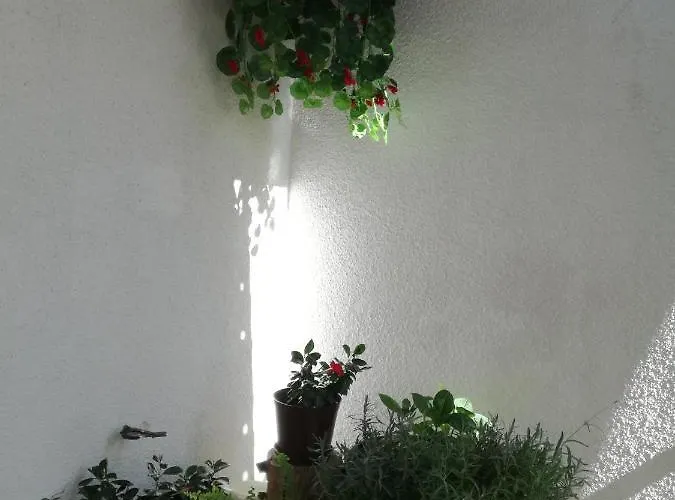 Appartamento Culav *